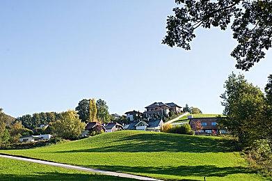 国产CRPG《动物迷城》狐狸线已完结，新角色明年上线